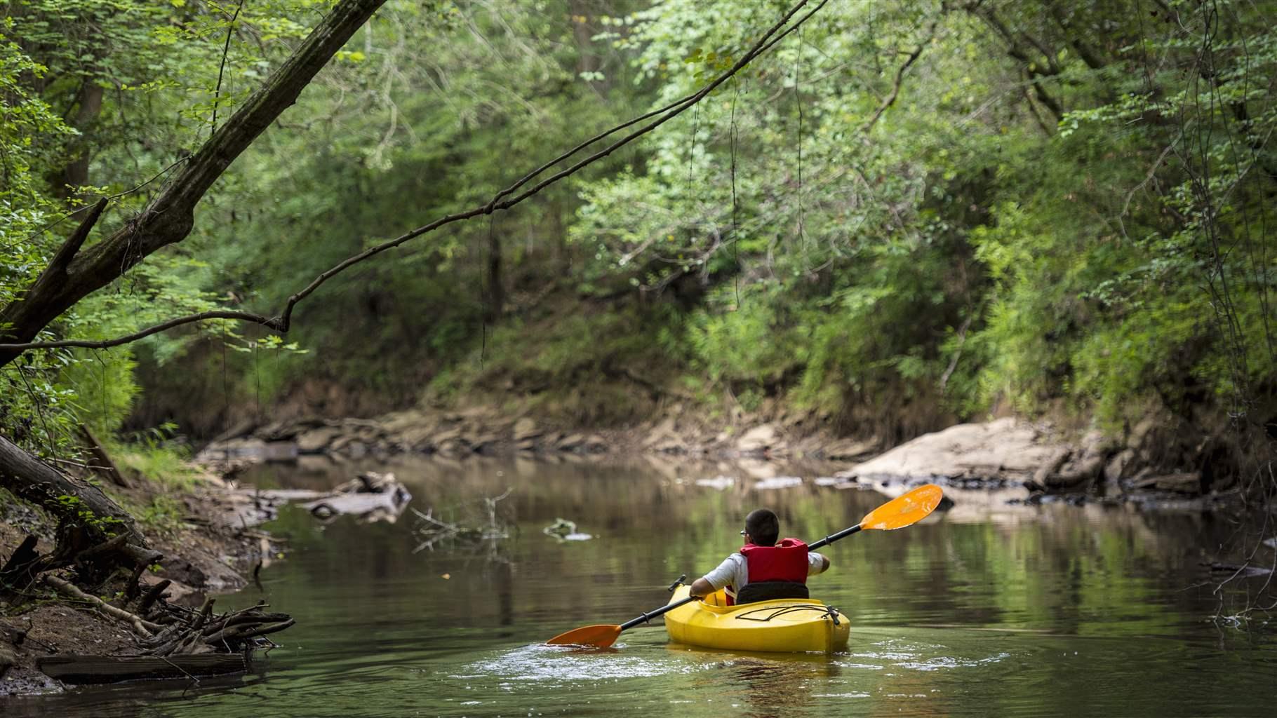 A young boy kayaks in a narrow river lined with trees on both sides. 