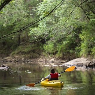 A person with dark hair and wearing a red life jacket is viewed from behind, paddling a yellow kayak on a narrow river running through a heavily forested landscape.