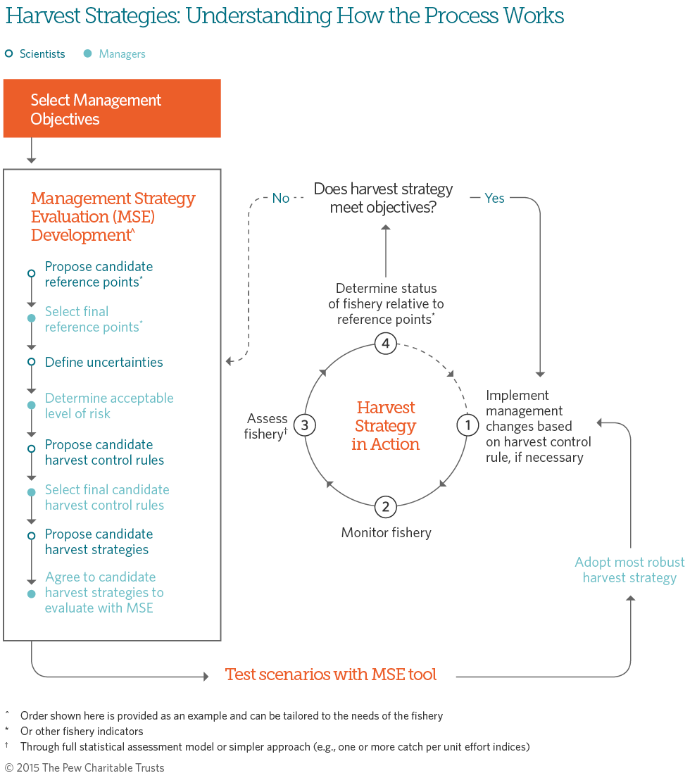 Harvest Strategies Understanding How The Process Works