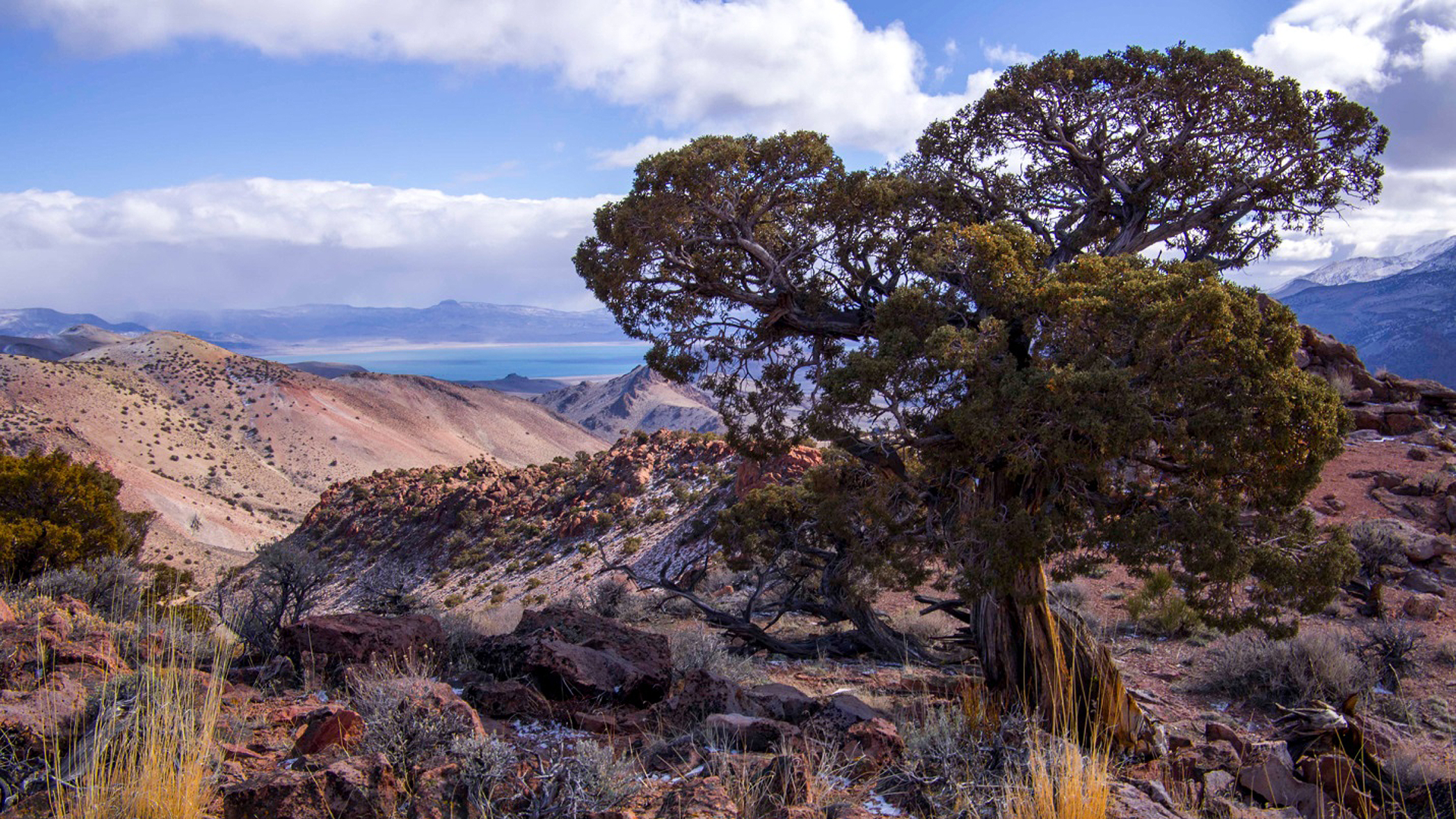 An Ancient Landscape in Western Nevada