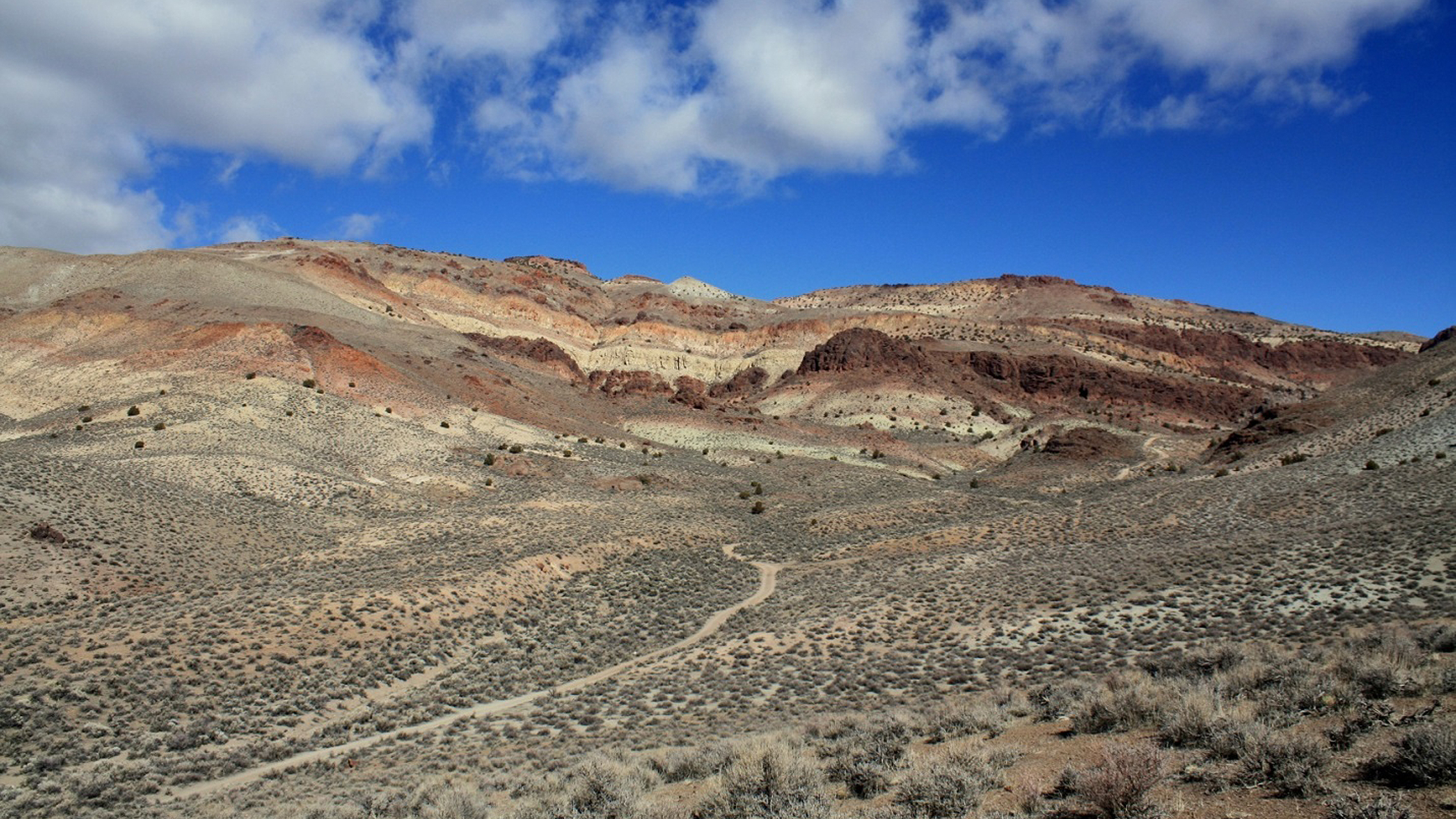 An Ancient Landscape in Western Nevada