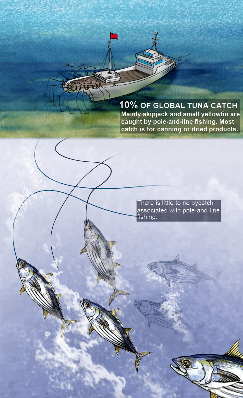 Global Tuna Fishing Pew Environment Group