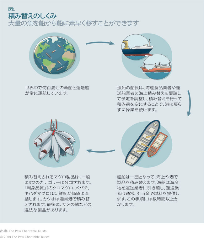 漁獲の積み替えを合法的に行い 検証可 能にするために必要な積み替え改革 The Pew Charitable Trusts