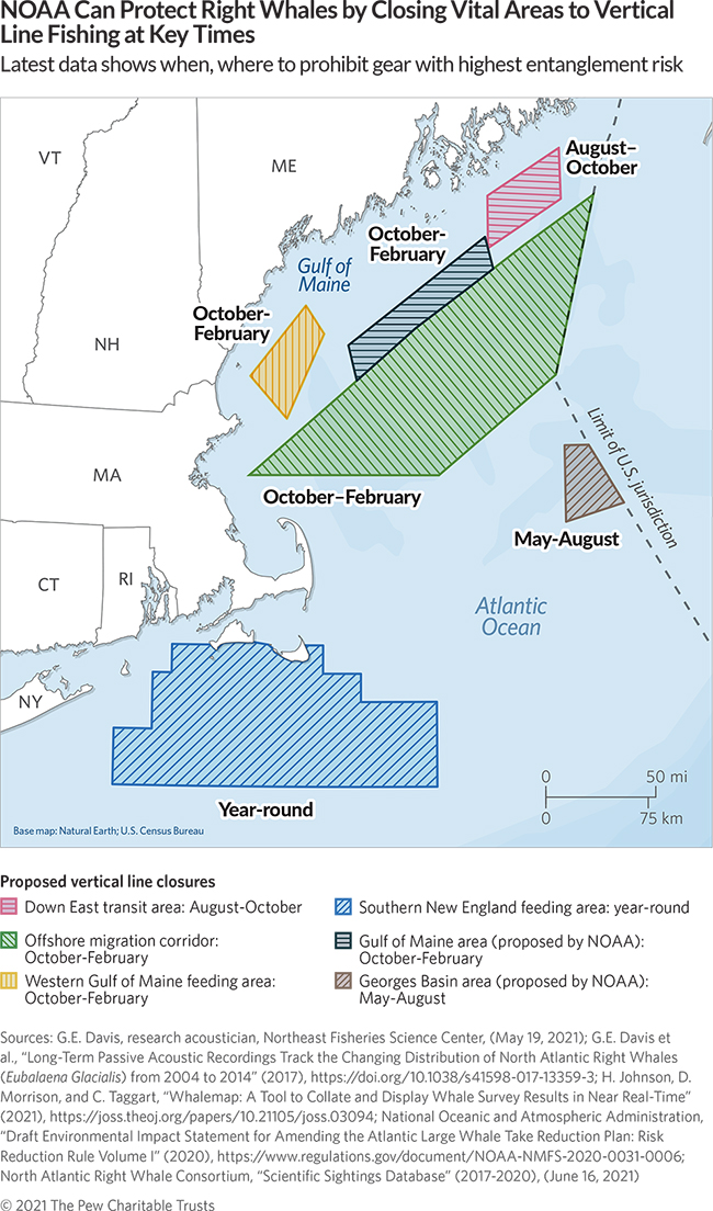 Mass. implements right whale closures and restrictions   -  News, Opinion, Things to Do in the East Bay