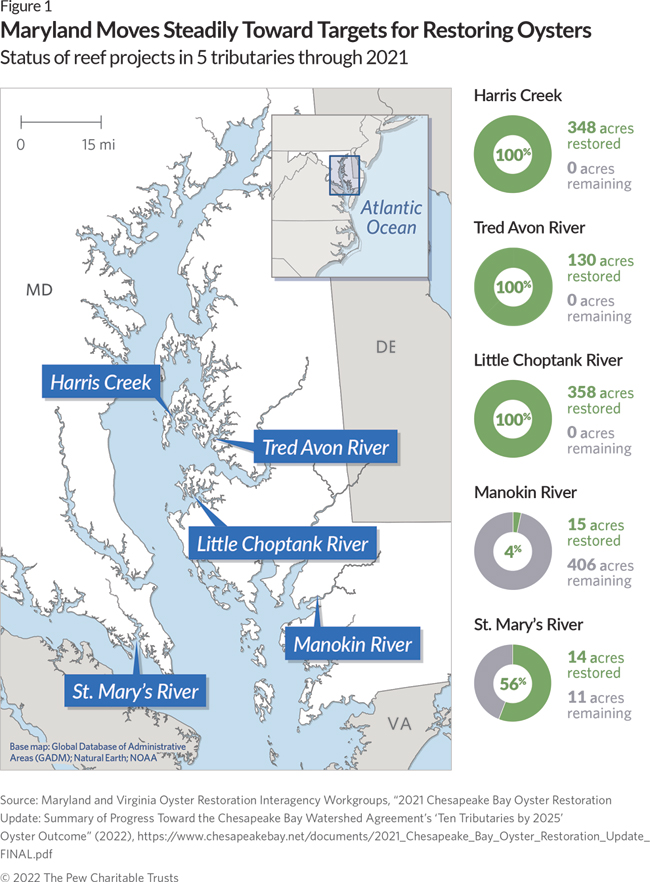 Chesapeake Bay Oyster Restoration Progresses In Maryland And Virginia ...