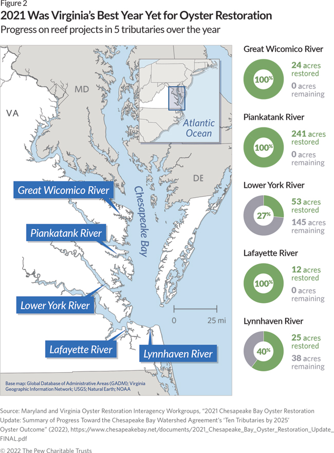 Chesapeake Bay Oyster Restoration Progresses In Maryland And Virginia ...