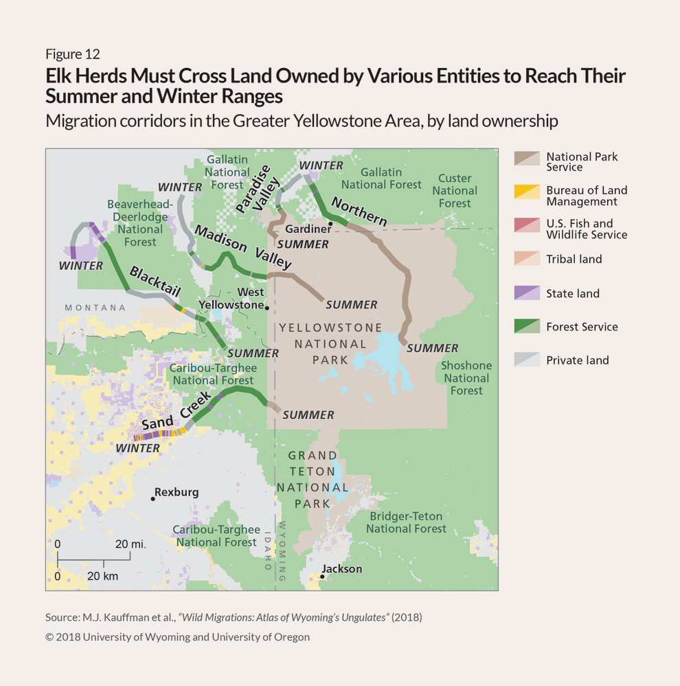 How to Conserve Wildlife Migrations in the American West