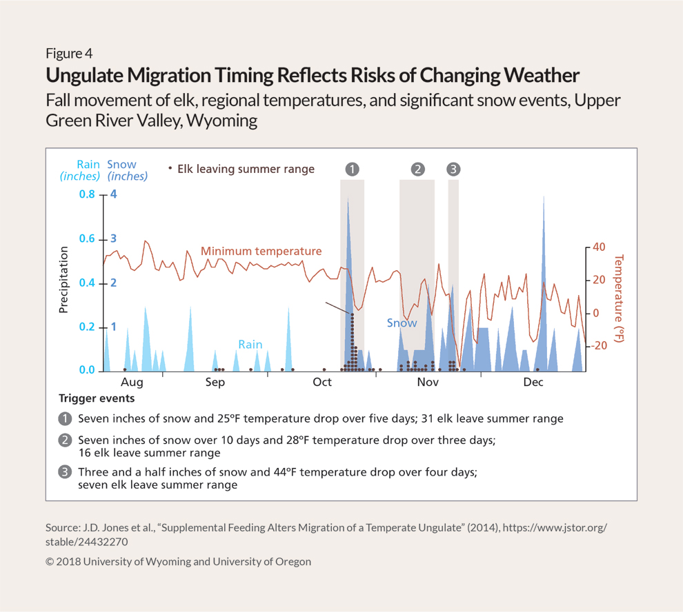 Landmark report details how human activities can disrupt animal migrations