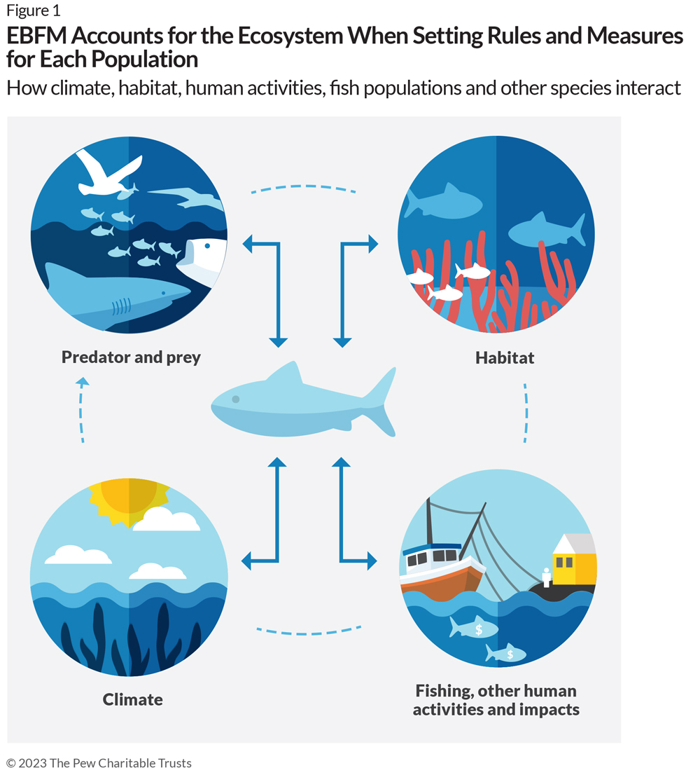 Two Tools Can Help Make Ecosystem-Based Fisheries Management A Global ...