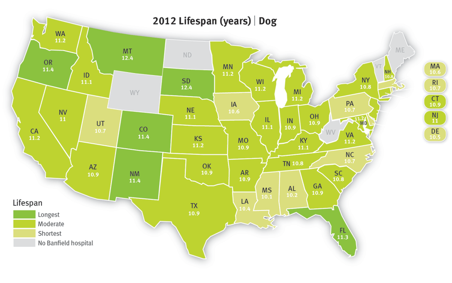 where can dogs live