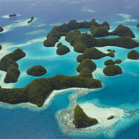 Palau National Marine Sanctuary Goes Into Effect | The Pew Charitable ...