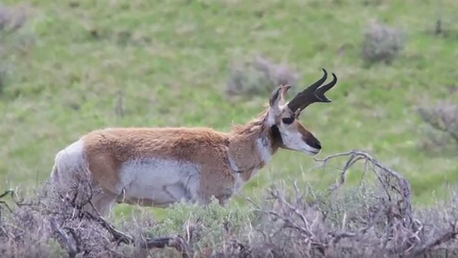 Owyhee Canyonlands | The Pew Charitable Trusts