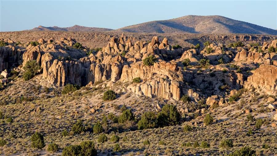 Gold Butte Basin 2