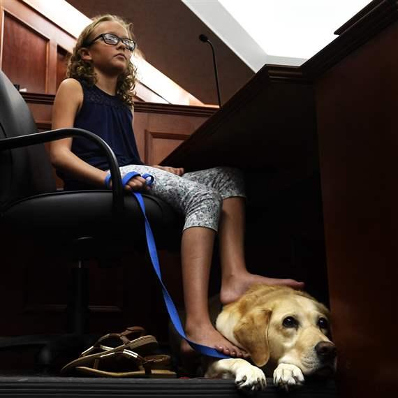 are service dogs allowed in courthouses