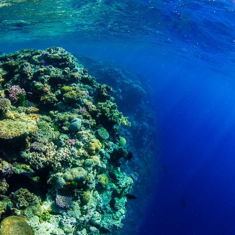 New Caledonia commits to highly protect large area of Coral Sea