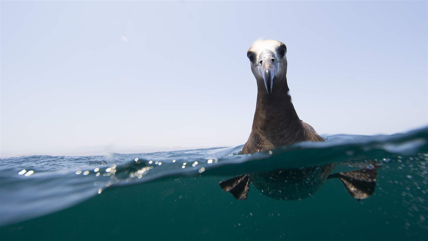 What Do You Know About the High Seas? | The Pew Charitable Trusts