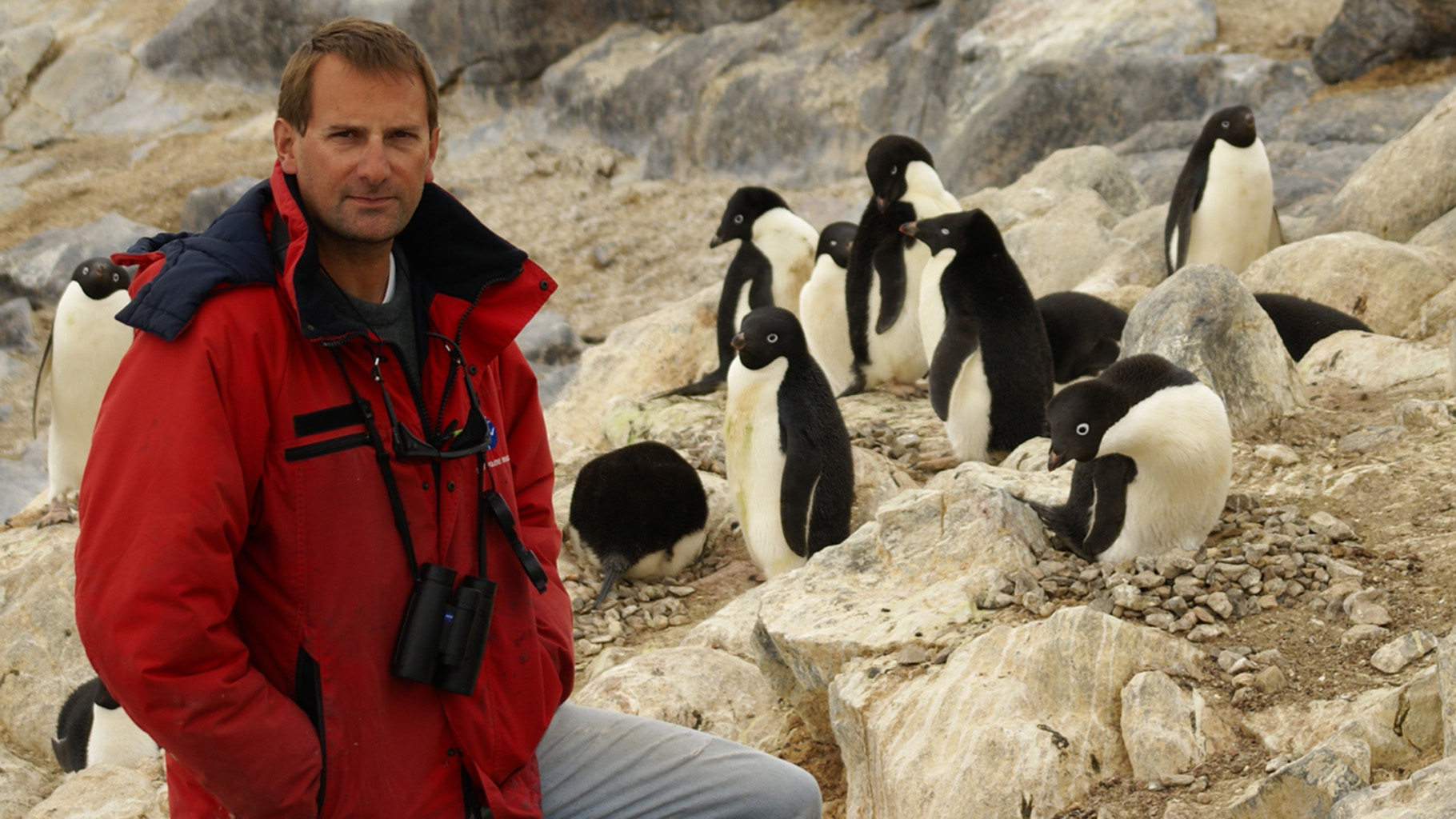 With Cameras on Backs, Penguins Enlisted to Track Their Diets | The Pew ...