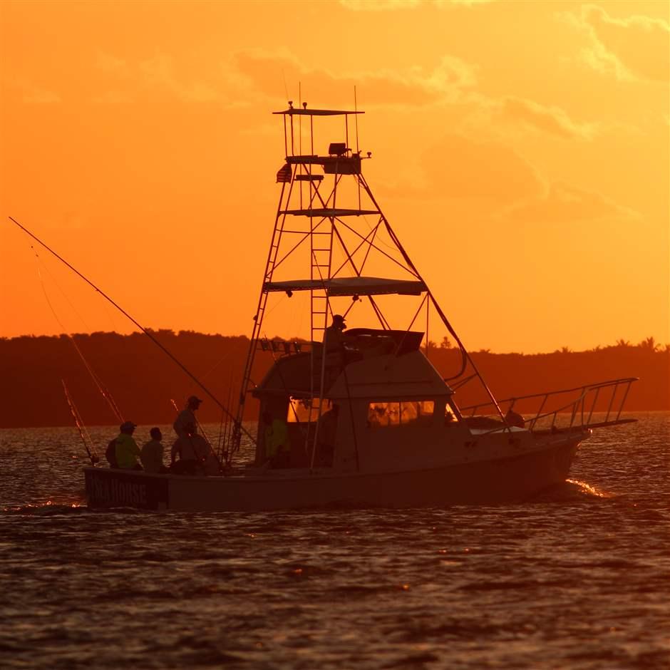 These tools could help increase fish stocks in Gulf of Mexico