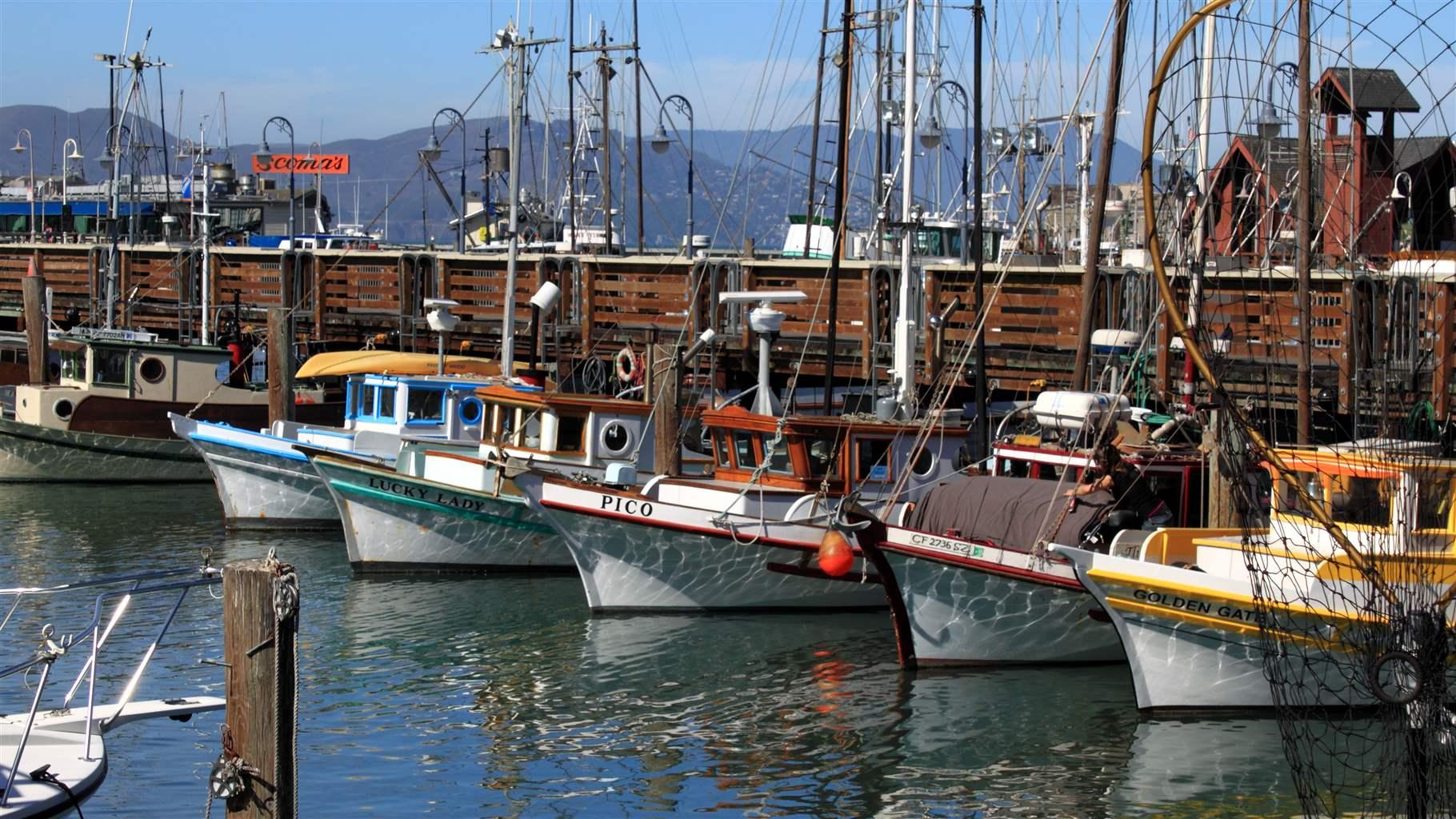 Fleet of Small Fishing Boats Around Pier 39, Fisherman's Wharf