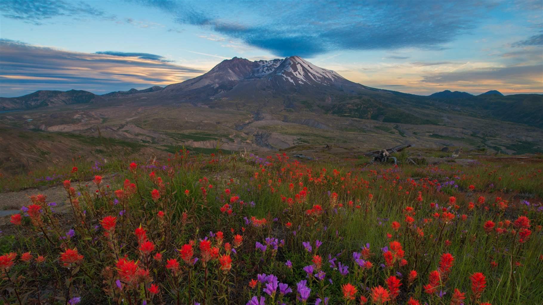 New Protection Status Proposed for Three Washington Rivers – Wild