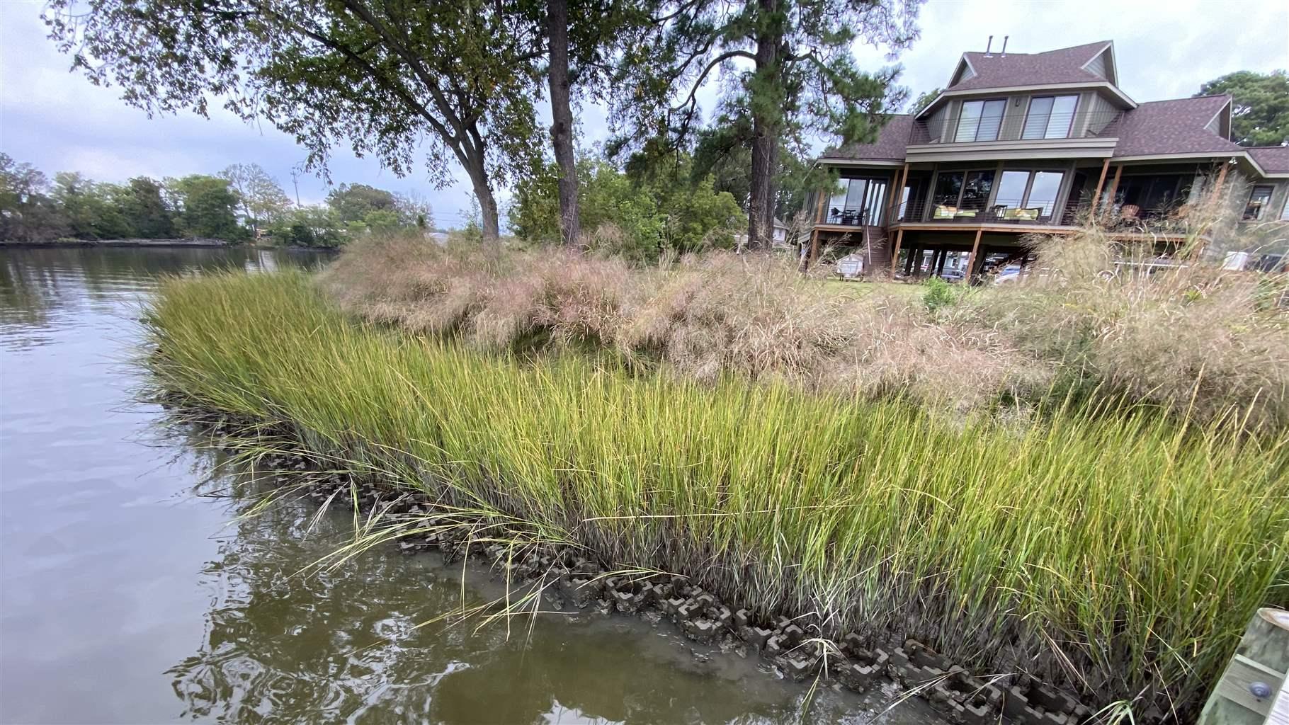 Help Virginia's Coastal Wilds Raise the Remaining Funds to