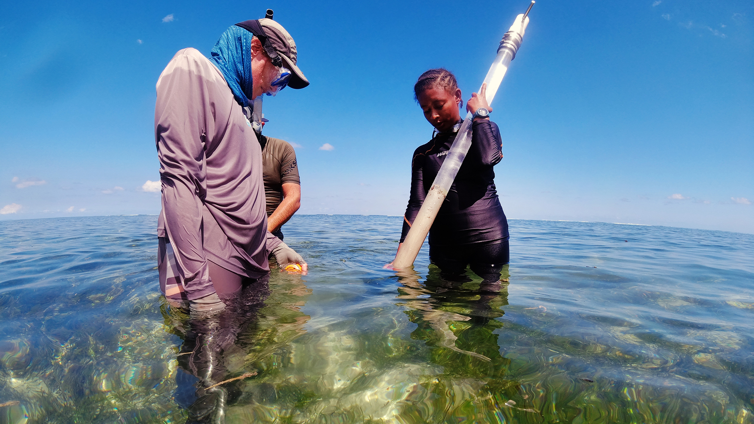 Seychelles Seagrass Research Supports Country's Climate Commitment