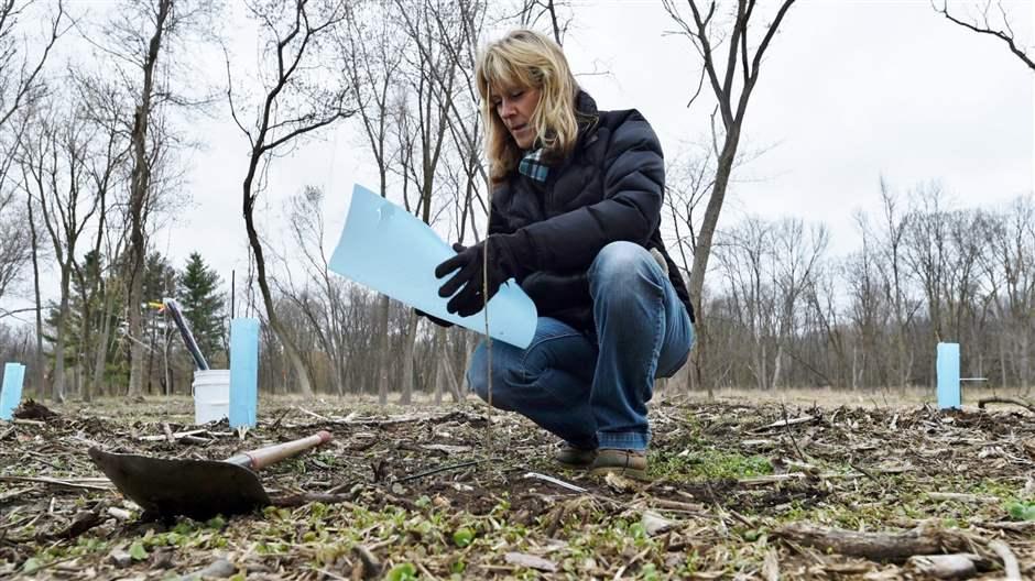 Climate Change Is Forcing Cities to Rethink Their Tree Mix - The Pew Charitable Trusts