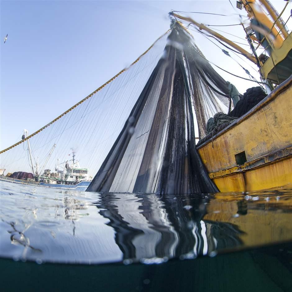 A Draft World Trade Organization Agreement on Fisheries Subsidies: What's  on the table?