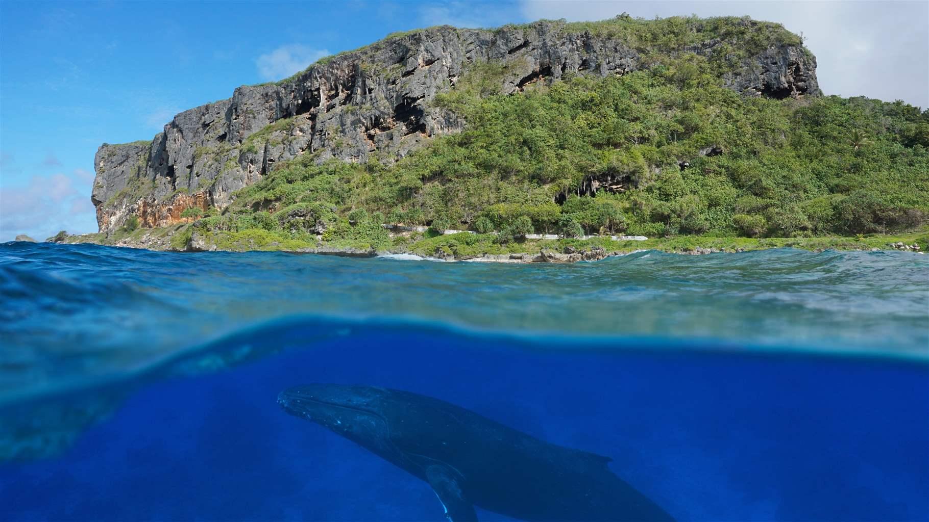 Pesca de mar profundo en Polinesia Francesa, 2024