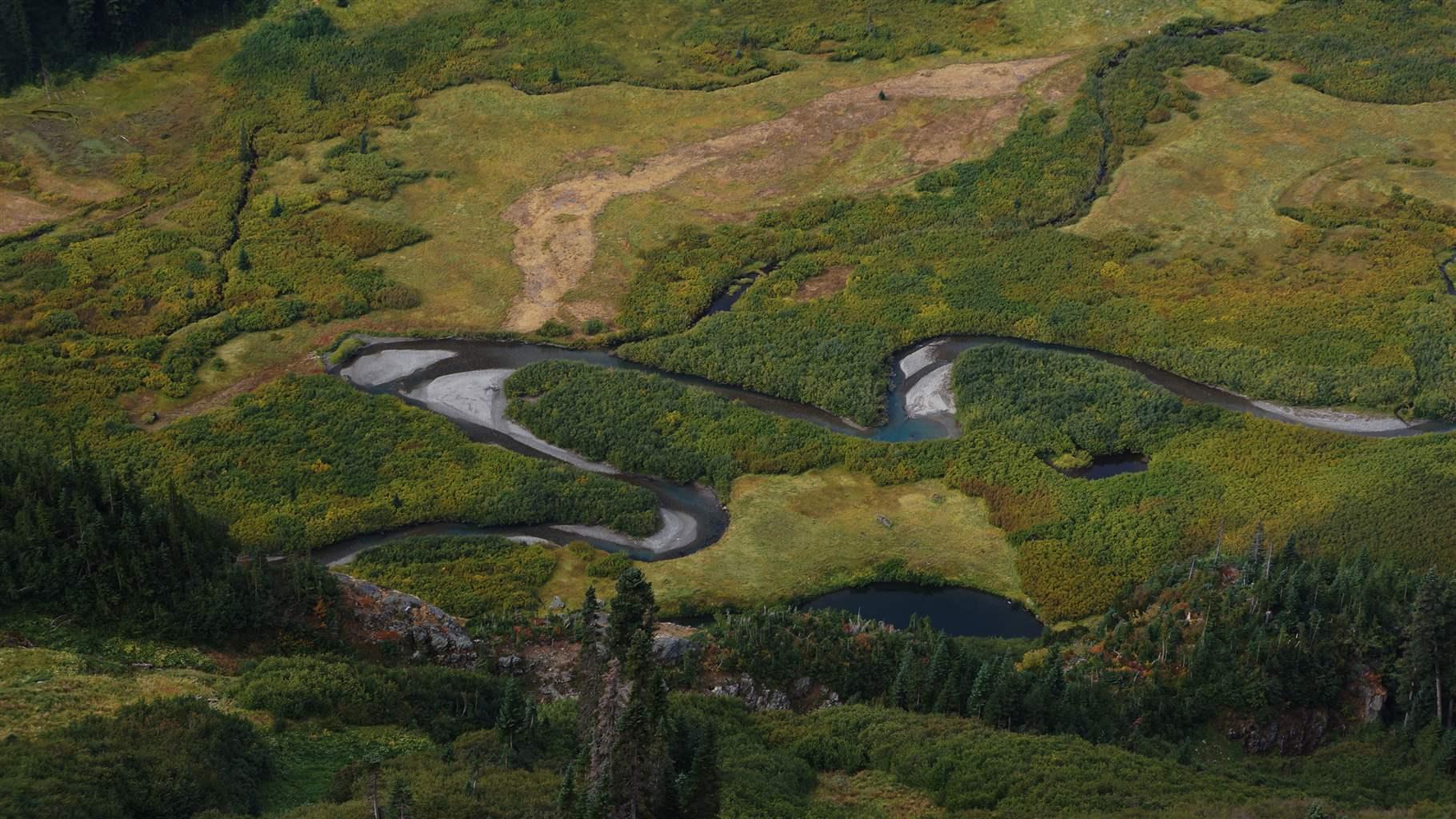 New Protection Status Proposed for Three Washington Rivers – Wild