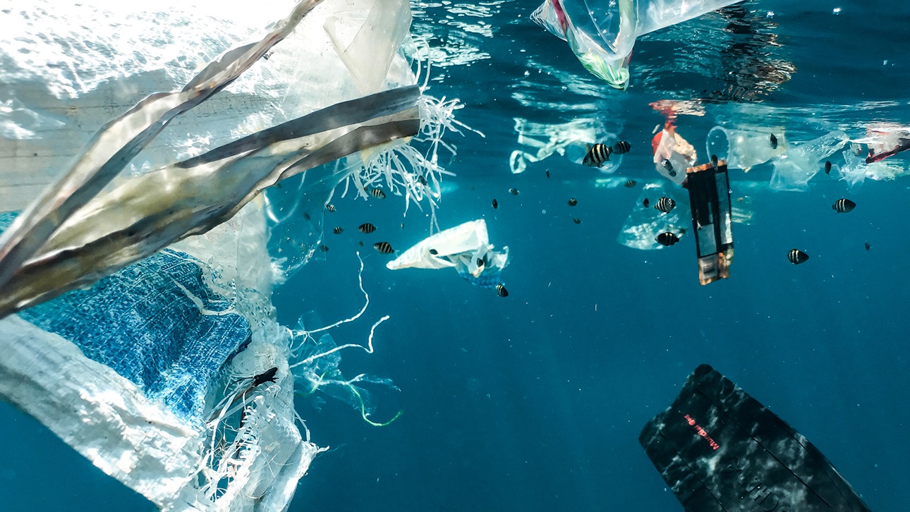 Kids Dump Trash Into The Ocean, Get Caught On Video - AR15.COM