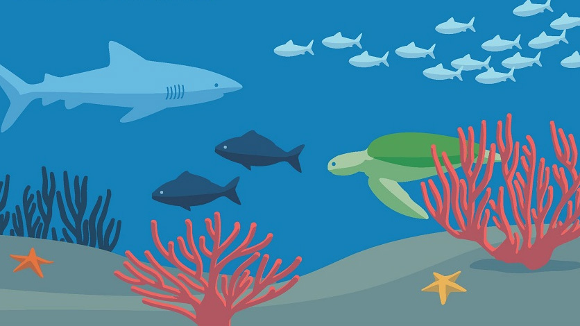 Five Ways to Help Fish and the Oceans