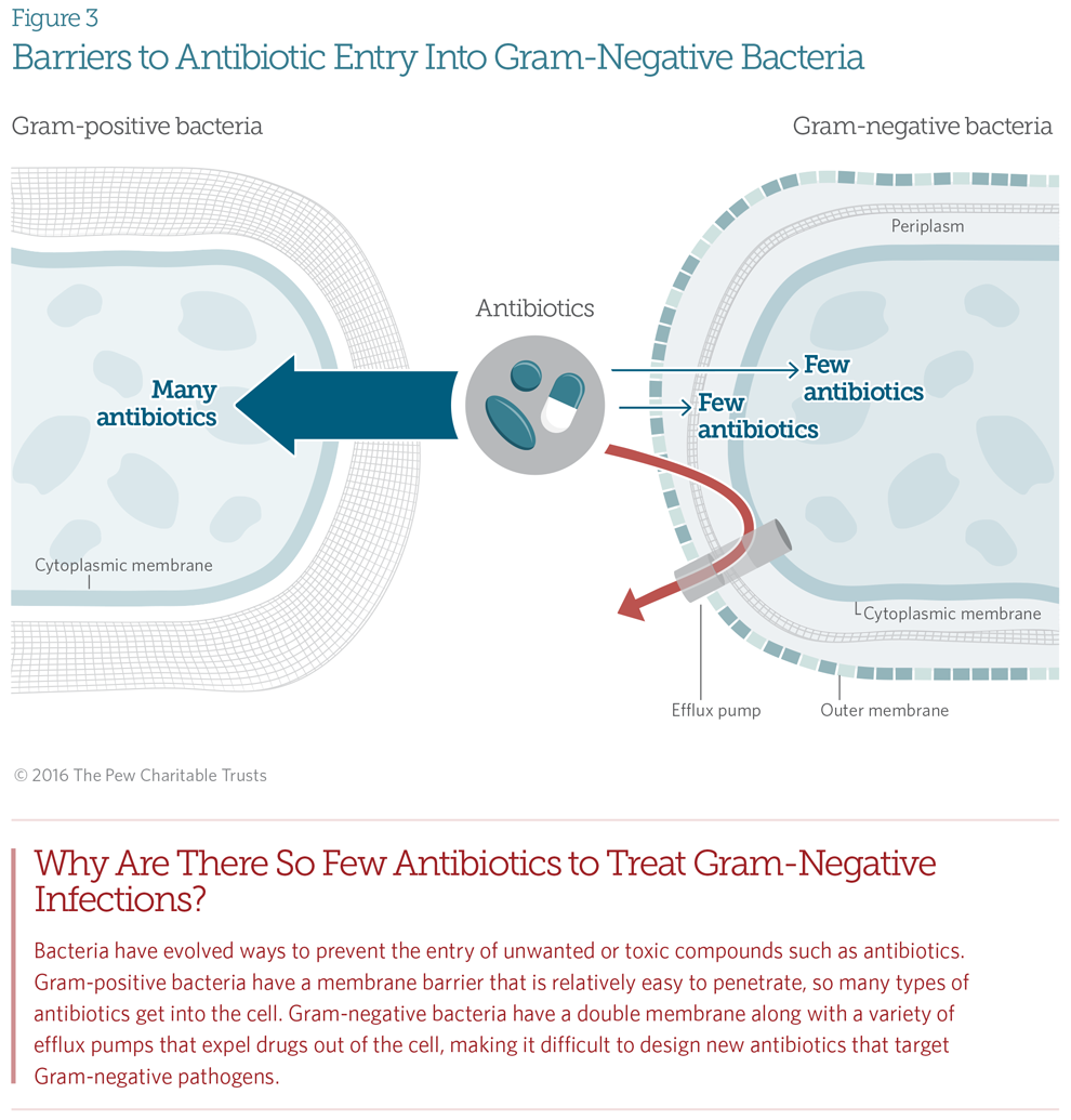 A Scientific Roadmap for Antibiotic Discovery