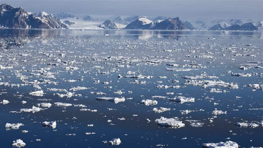 Studies Show Need to Protect Seas Around Antarctica