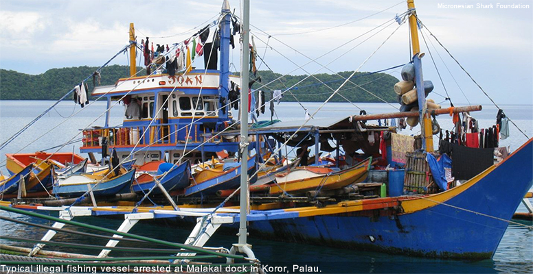 Enforcing Laws of the World's Shark Sanctuaries - Pew Environment Group